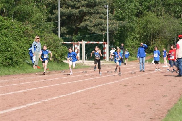 IMG_4100 (Large)